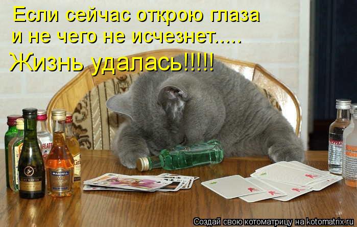 Если сейчас открою глаза и не чего не исчезнет..... Жизнь удалась!!!!!... Котоматрица: Если сейчас открою глаза и не чего не исчезнет..... Жизнь удалась!!!!!