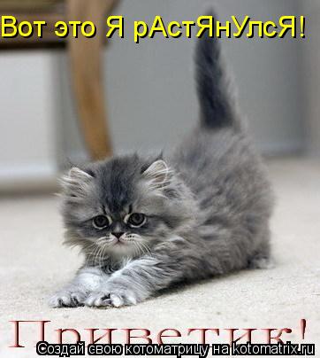 Котоматрица: Вот это Я рАстЯнУлсЯ!