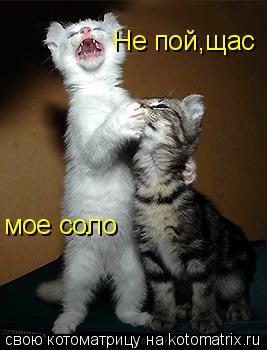 мое соло Не пой,щас... Котоматрица: мое соло Не пой,щас
