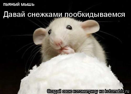 пьяный мышь Давай снежками пообкидываемся... Котоматрица: пьяный мышь Давай снежками пообкидываемся