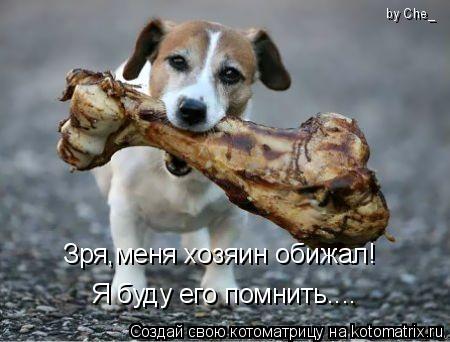 Котоматрица: Зря,меня хозяин обижал! Я буду его помнить.... by Che_