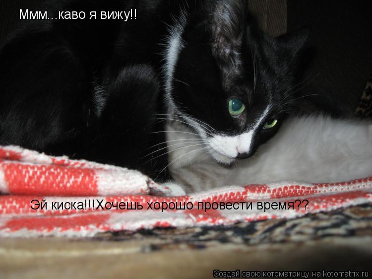 Котоматрица: Ммм...каво я вижу!! Эй киска!!!Хочешь хорошо провести время??
