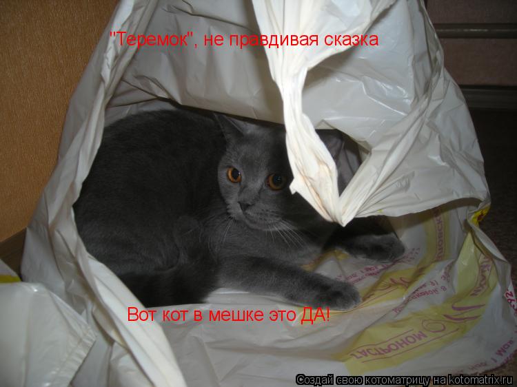 "Теремок", не правдивая сказка Вот кот в мешке это ДА!... Котоматрица: "Теремок", не правдивая сказка Вот кот в мешке это ДА!