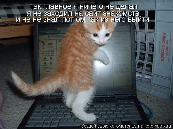 так главное я ничего не делал я не заходил на сайт знакомств и не не знал пот ом как из него выйти... Котоматрица: так главное я ничего не делал я не заходил на сайт знакомств и не не знал пот ом как из него выйти