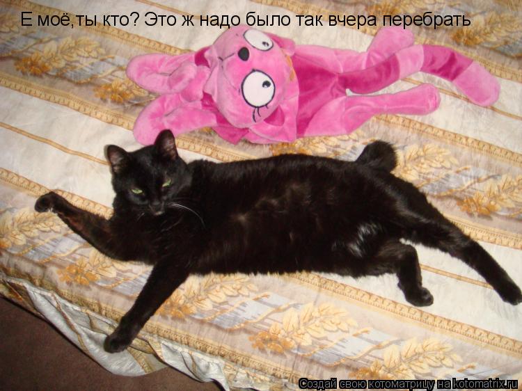 Е моё,ты кто? Это ж надо было так вчера перебрать... Котоматрица: Е моё,ты кто? Это ж надо было так вчера перебрать