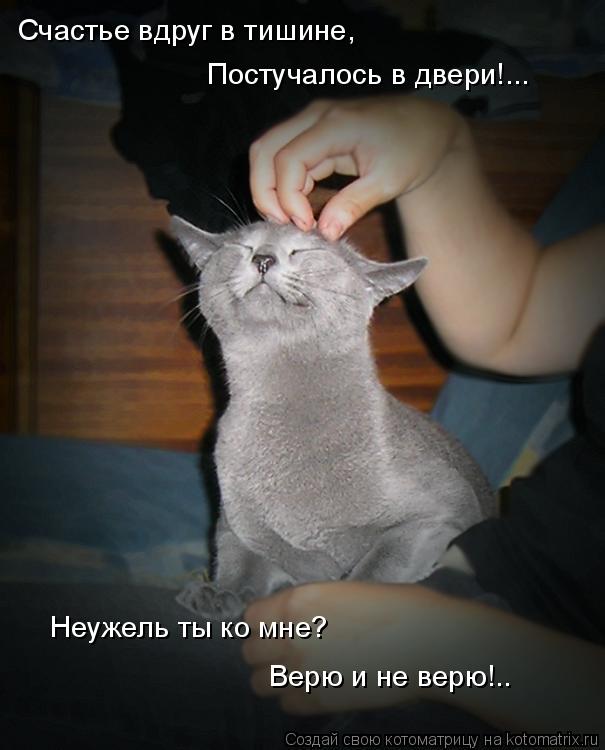 Котоматрица: Счастье вдруг в тишине, Постучалось в двери!... Неужель ты ко мне? Верю и не верю!..