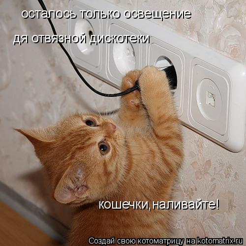 Котоматрица: осталось только освещение дя отвязной дискотеки кошечки,наливайте!