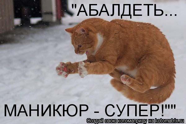 Котоматрица: "АБАЛДЕТЬ... МАНИКЮР - СУПЕР!""