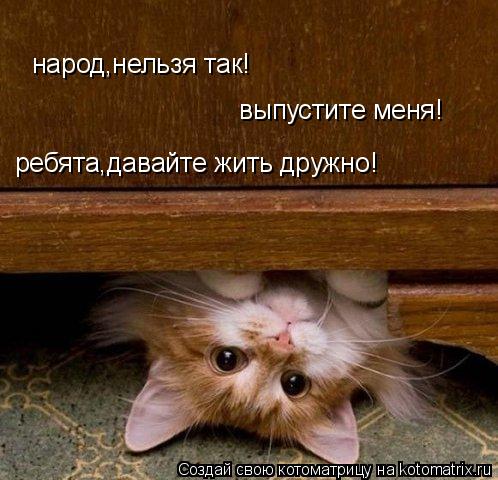 Котоматрица: народ,нельзя так! выпустите меня! ребята,давайте жить дружно!