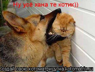 Котоматрица: Ну усё хана те котик))