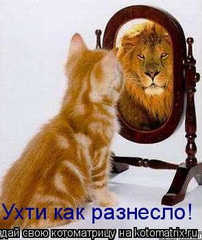Котоматрица: Ухти как разнесло!