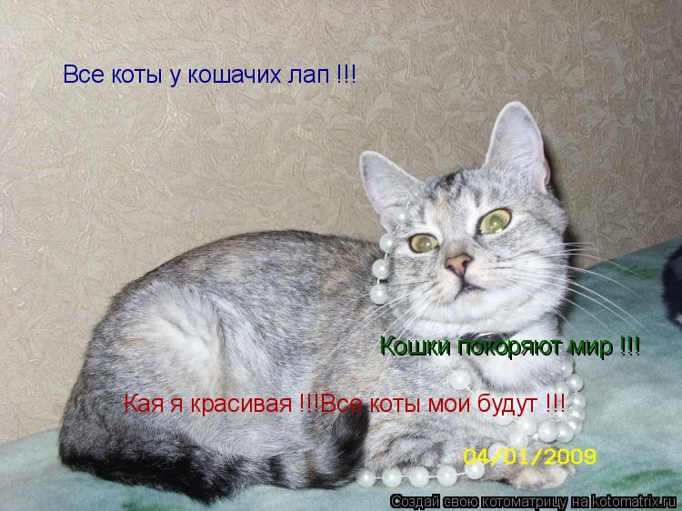 Котоматрица: Кая я красивая !!!Все коты мои будут !!! Кошки покоряют мир !!! Все коты у кошачих лап !!!