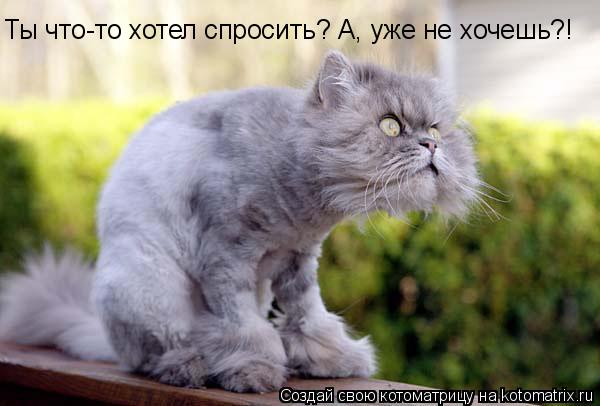 Котоматрица: Ты что-то хотел спросить? А, уже не хочешь?!