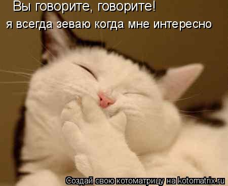 Котоматрица: Вы говорите, говорите! я всегда зеваю когда мне интересно