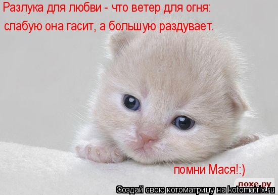 Котоматрица: Разлука для любви - что ветер для огня:   слабую она гасит, а большую раздувает. помни Мася!:)