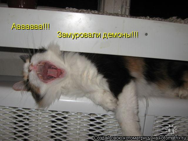 Ааааааа!!! Замуровали демоны!!!... Котоматрица: Ааааааа!!! Замуровали демоны!!!
