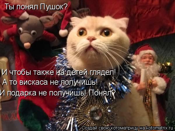 Котоматрица: Ты понял Пушок? И чтобы также на детей глядел! А то вискаса не получишь! И подарка не получишь! Понял?