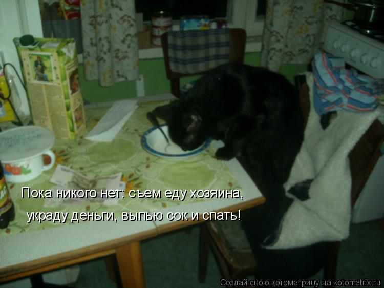 Котоматрица: Пока никого нет: съем еду хозяина,  украду деньги, выпью сок и спать!