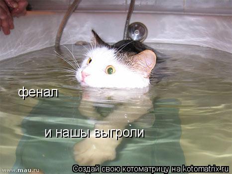 Котоматрица: фенал и нашы выгроли