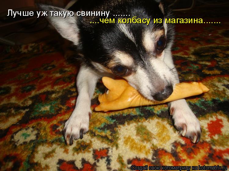 Котоматрица: Лучше уж такую свинину ....... ....чем колбасу из магазина.......
