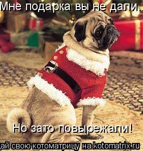 Котоматрица: Мне подарка вы не дали... Но зато повырежали!