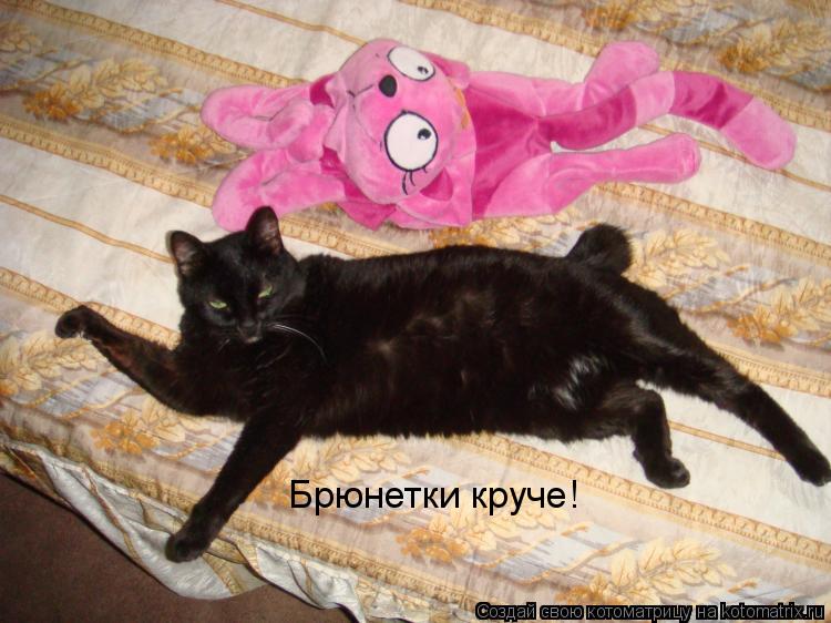 Котоматрица: Брюнетки круче!