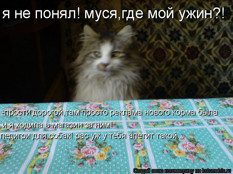 я не понял! муся,где мой ужин?! -прости дорогой,там просто реклама нового корма была и я ходила в маг... Котоматрица: я не понял! муся,где мой ужин?! -прости дорогой,там просто реклама нового корма была и я ходила в магазин за ним! педигри для собак! рас уж у те