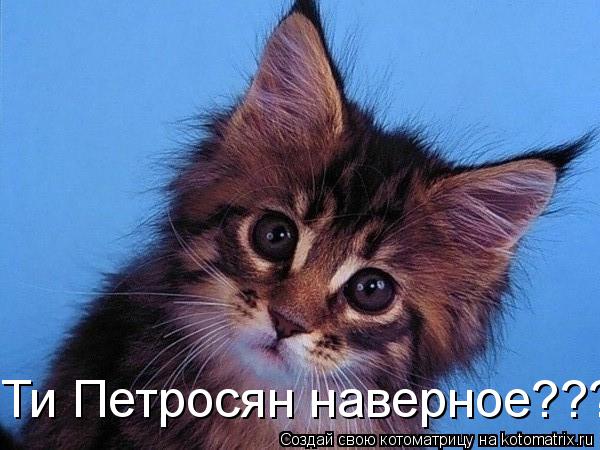 Котоматрица: Ти Петросян наверное???