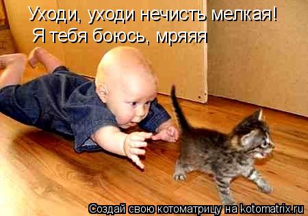 Котоматрица: Уходи, уходи нечисть мелкая! Я тебя боюсь, мряяя