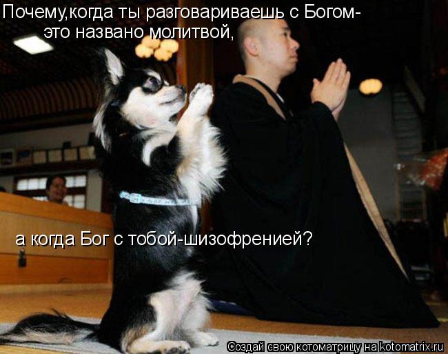 Котоматрица: Почему,когда ты разговариваешь с Богом- это названо молитвой, а когда Бог с тобой-шизофренией?
