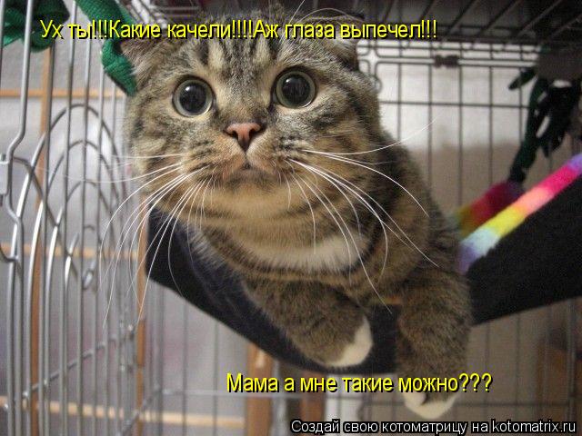 Котоматрица: Ух ты!!!Какие качели!!!!Аж глаза выпечел!!! Мама а мне такие можно???