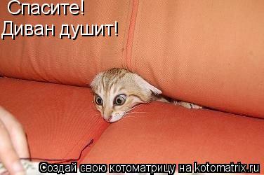 Котоматрица: Спасите!  Спасите!  Диван душит!