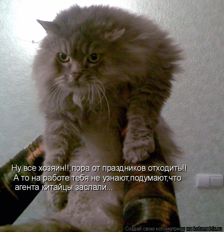 Ну все хозяин!!,пора от праздников отходить!! А то на работе тебя не узнают,подумают,что агента китай... Котоматрица: Ну все хозяин!!,пора от праздников отходить!! А то на работе тебя не узнают,подумают,что агента китайцы заслали...