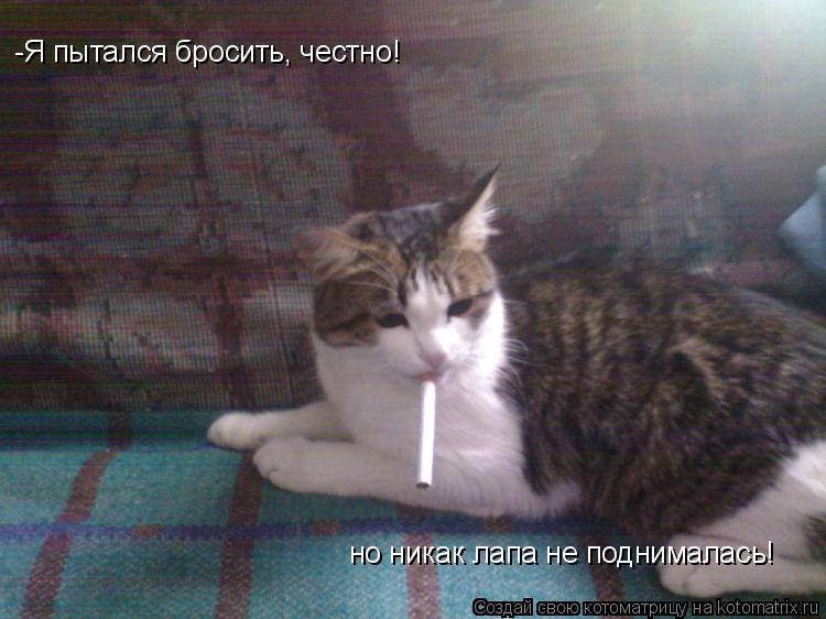Котоматрица: -Я пытался бросить, честно! но никак лапа не поднималась!