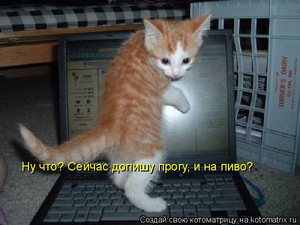 Котоматрица: Ну что? Сейчас допишу прогу, и на пиво?