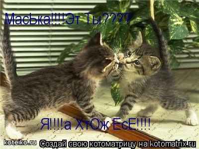 МасЬка!!!!Эт Ты???? Я!!!!а ХтОж ЕсЕ!!!!... Котоматрица: МасЬка!!!!Эт Ты???? Я!!!!а ХтОж ЕсЕ!!!!