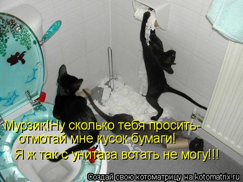 Котоматрица: Мурзик!Ну сколько тебя просить- отмотай мне кусок бумаги! Я ж так с унитаза встать не могу!!!