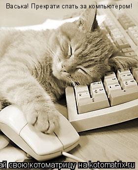 Котоматрица: Васька! Прекрати спать за компьютером!