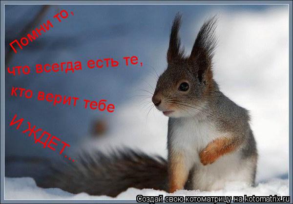 Котоматрица: Помни то, что всегда есть те, кто верит тебе И ЖДЕТ...