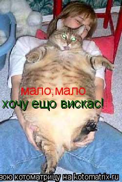Котоматрица: мало,мало хочу ещо вискас!