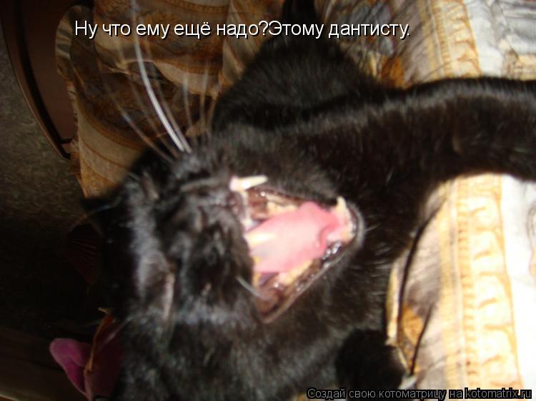 Ну что ему ещё надо?Этому дантисту.... Котоматрица: Ну что ему ещё надо?Этому дантисту.