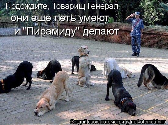 Котоматрица: Подождите, Товарищ Генерал, они еще петь умеют   и "Пирамиду" делают