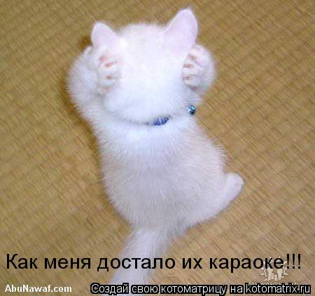 Как меня достало их караоке!!!... Котоматрица: Как меня достало их караоке!!!