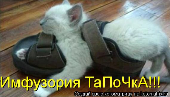 Котоматрица: Имфузория ТаПоЧкА!!!