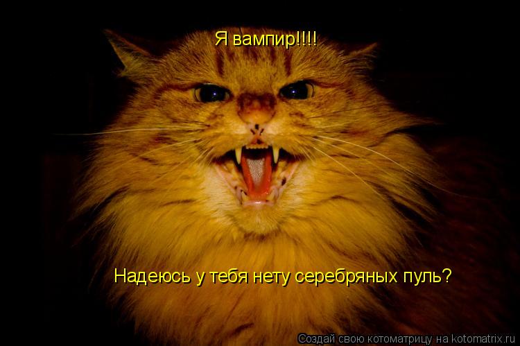 Котоматрица: Я вампир!!!! Надеюсь у тебя нету серебряных пуль?