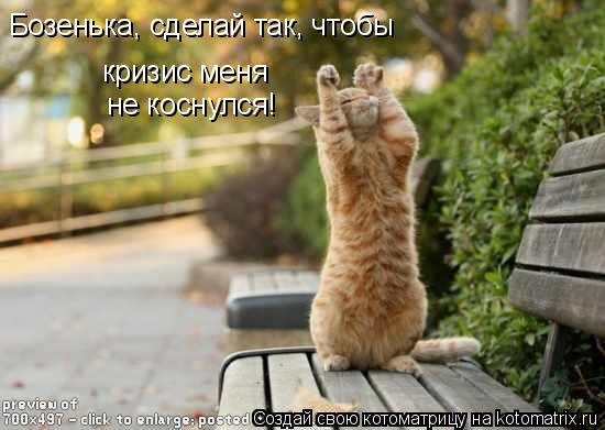 Котоматрица: Бозенька, сделай так, чтобы кризис меня не коснулся!