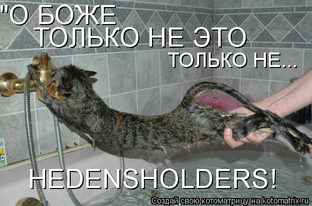 Котоматрица: "О БОЖЕ ТОЛЬКО НЕ ЭТО ТОЛЬКО НЕ... HEDENSHOLDERS!