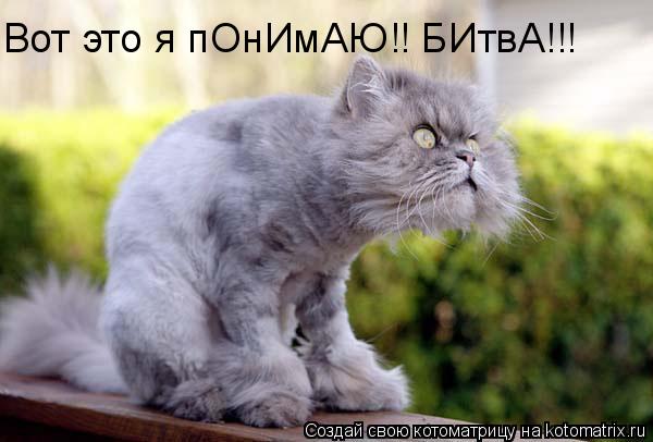 Котоматрица: Вот это я пОнИмАЮ!! БИтвА!!!