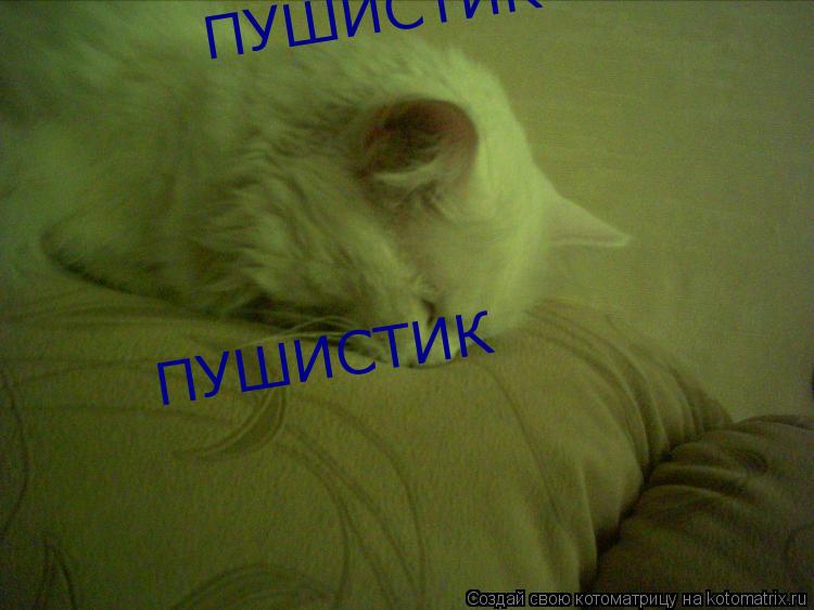 Котоматрица: ПУШИСТИК ПУШИСТИК
