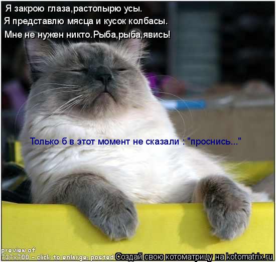 Котоматрица: Я закрою глаза,растопырю усы. Я представлю мясца и кусок колбасы. Мне не нужен никто.Рыба,рыба,явись! Только б в этот момент не сказали : "прос